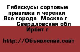Гибискусы сортовые, прививки и черенки - Все города, Москва г.  »    . Свердловская обл.,Ирбит г.